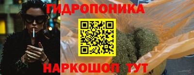 a pvp Кингисепп