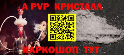 a pvp Кингисепп
